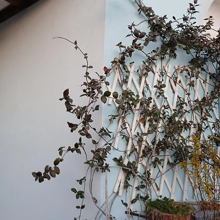Apartment Athina Thessaloniki